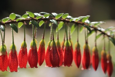 徐州云龙区零用贷短借：轻松解决临时资金需求