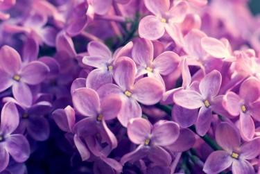 徐州云龙区企业急用钱贷款攻略：快速融资解燃眉之急